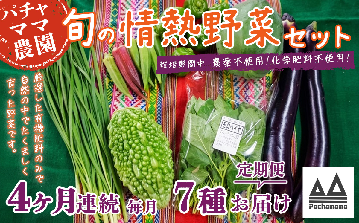 【 4ヶ月連続お届け 】 農園自慢の情熱野菜セット （ 7品 ）【 野菜 詰め合わせ お任せ 季節物 定期便 セット 山芋 パセリ わさび菜 ポップコーン かぶ 人参 里芋 たまねぎ 玉ねぎ ルッコラ