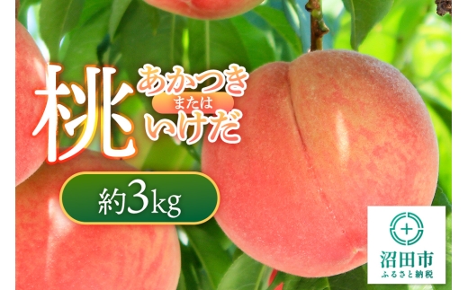 《7月下旬～8月中旬にお届け》 桃「あかつき」または「いけだ」約3kg フルーツ王国松井 [夏の味覚 夏の果物 夏のフルーツ 桃 もも モモ momo 旬物 ぴーち ピーチ peach お任せ おまかせ セット]