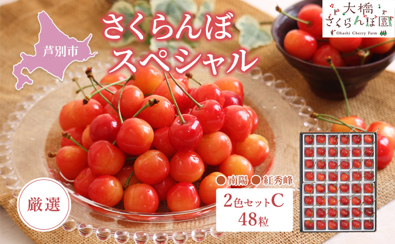 【 先行受付 】さくらんぼ 厳選 さくらんぼスペシャル 2色C 