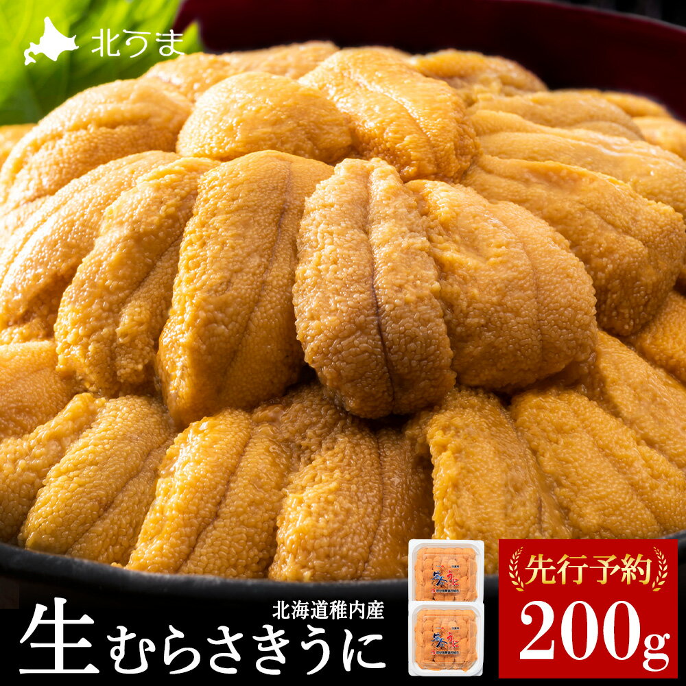 【ふるさと納税】【うにの名産地稚内市】最北端の生むらさきうに2パック うに ウニ 雲丹 むらさきうに ムラサキウニ 海鮮 魚介 北海道 稚内市 稚内 生ウニ 小分け ふるさと 【配送不可地域：離島・沖縄県】
