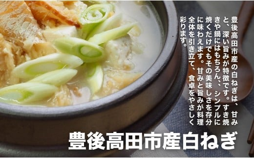 【先行予約】産地直送・新鮮！甘くて美味しい白ネギ 3kg 西日本トップクラスの産地・大分県豊後高田市産 広大な干拓で育ったミネラル豊富な白ねぎ ネギ ねぎ 長ネギ 鍋 野菜