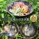 【ふるさと納税】【KaiWork’s】久住「大地のパスタ皿」パスタ皿（直径23cm・高さ6.5cm）2枚 セット 黒 食器 うつわ 九州 大分県 竹田市 送料無料