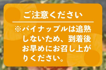 【予約受付】《2024年5月下旬～7月中旬発送》最高糖度18度！？ 完熟の極 石垣島産ジュワリーパイン TF-16