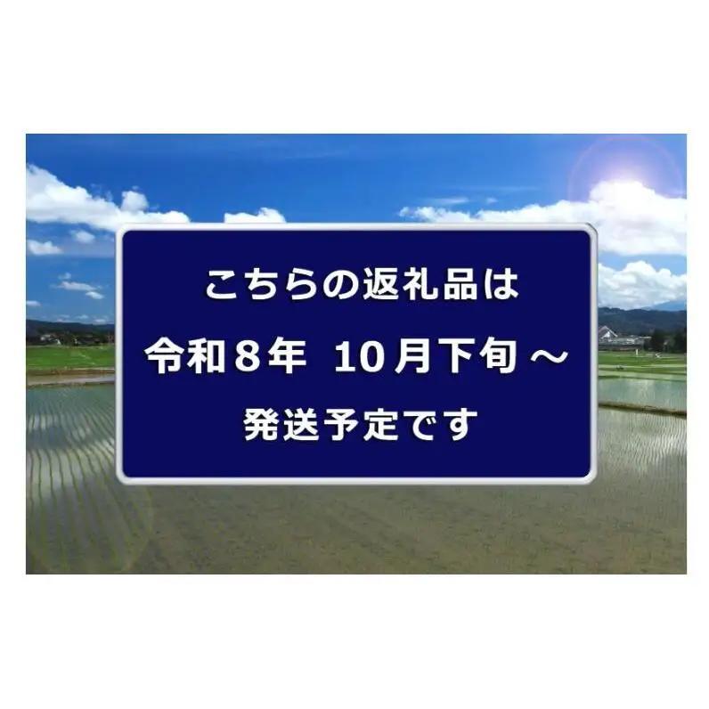 令和8年産　先行予約【定期便／全12回】無洗米 魚沼産コシヒカリ2合×10袋 〈令和8年10月下旬～発送予定〉