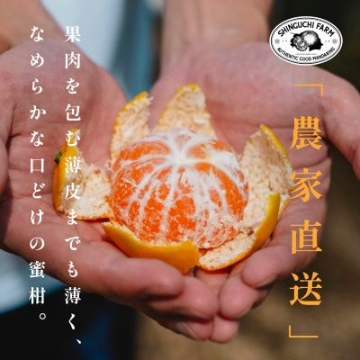 愛媛みかんの老舗厳選【小玉 みかん2kg】新口農園【B70−75】【1622614】