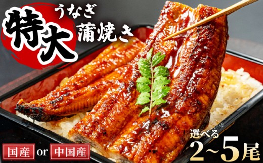 
                  【選べる内容量】特大うなぎ蒲焼200g（2尾～5尾）※国産は2尾(400g)のみ | ふるさと納税 うなぎ 蒲焼 うなぎ蒲焼 鰻 うな重 うなぎ丼 タレ付き 冷凍 お取り寄せ ギフト 人気 土用の丑の日 九州 グルメ 高級食材
                