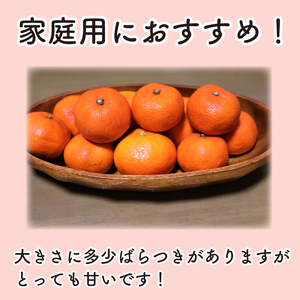 【みかん】 先行予約 訳あり みかん 3kg 小原紅早生 蜜柑 【蜜柑】
