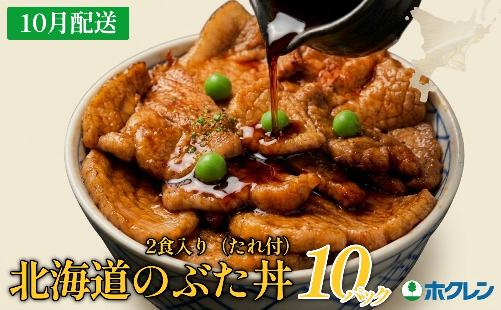 【2027年10月配送】北海道のぶた丼 20食（2食入り250g×10袋）北海道産豚肉使用 ホクレン