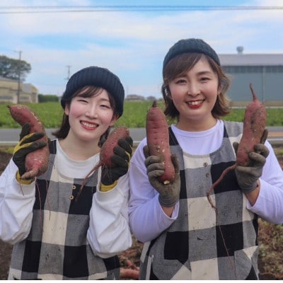 【先行受付】11月下旬より発送!茨城県 ひたちなか産 さつまいも 紅はるか 箱込5kg【訳あり】【配送不可地域：離島・沖縄県】