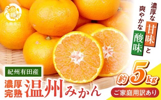 
                  【2026年11月下旬頃より発送】【ご家庭用訳アリ】紀州有田産濃厚甘熟温州みかん 5㎏_G7347
                