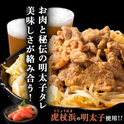 ふるさと納税 千歳市 明太子入り 味付けジンギスカン 300g _10パック＜肉の山本＞ |  | 01