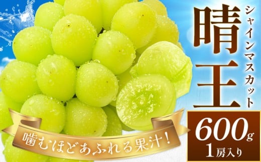 【2026年先行予約】ぶどう シャインマスカット 晴王 約600g (1房入り) 満天フルーツ《2026年9月上旬-10月末頃出荷》岡山県 浅口市 送料無料 マスカット フルーツ 果物 お取り寄せフルーツ 贈り物 ギフト 国産 岡山県産【配送不可地域あり】
