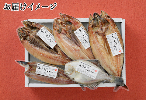 1963. ふっくらやわらか 干物 5点セット 真ホッケ サンマ カレイ ニシン サバ 魚介 海鮮 送料無料 北海道 弟子屈町