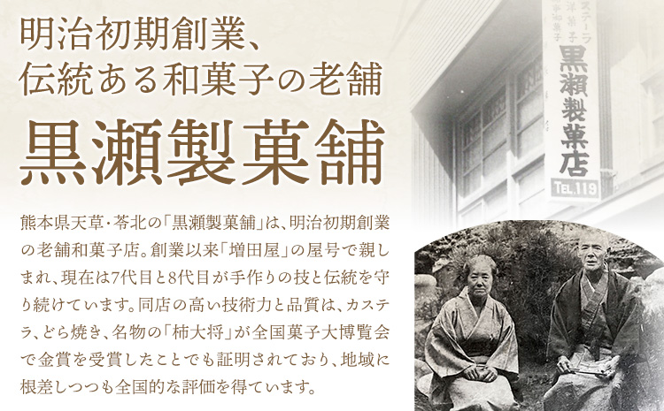 黒瀬のどら焼き 詰め合わせ 王道どら焼き 10個 黒瀬製菓舗《30日以内に出荷予定(土日祝除く)》熊本県 苓北町 菓子 お菓子 和菓子 スイーツ どらやき どら焼き ---reihoku_kss_8_