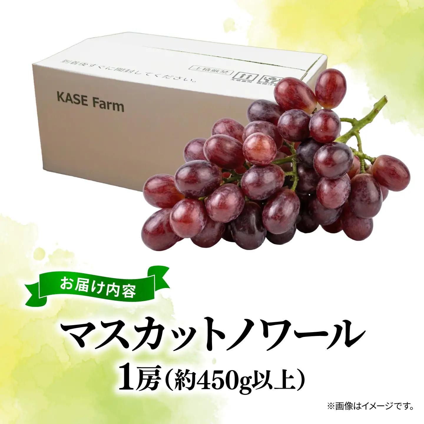 訳あり マスカットノワール  1房 450g 以上 数量限定 種なし