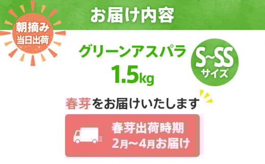 数量限定 先行予約 アスパラガス 春芽 S～SS 1.5kg【2月〜4月お届け】｜朝採り 朝採れ 直送 グリーンアスパラガス アスパラ BT13