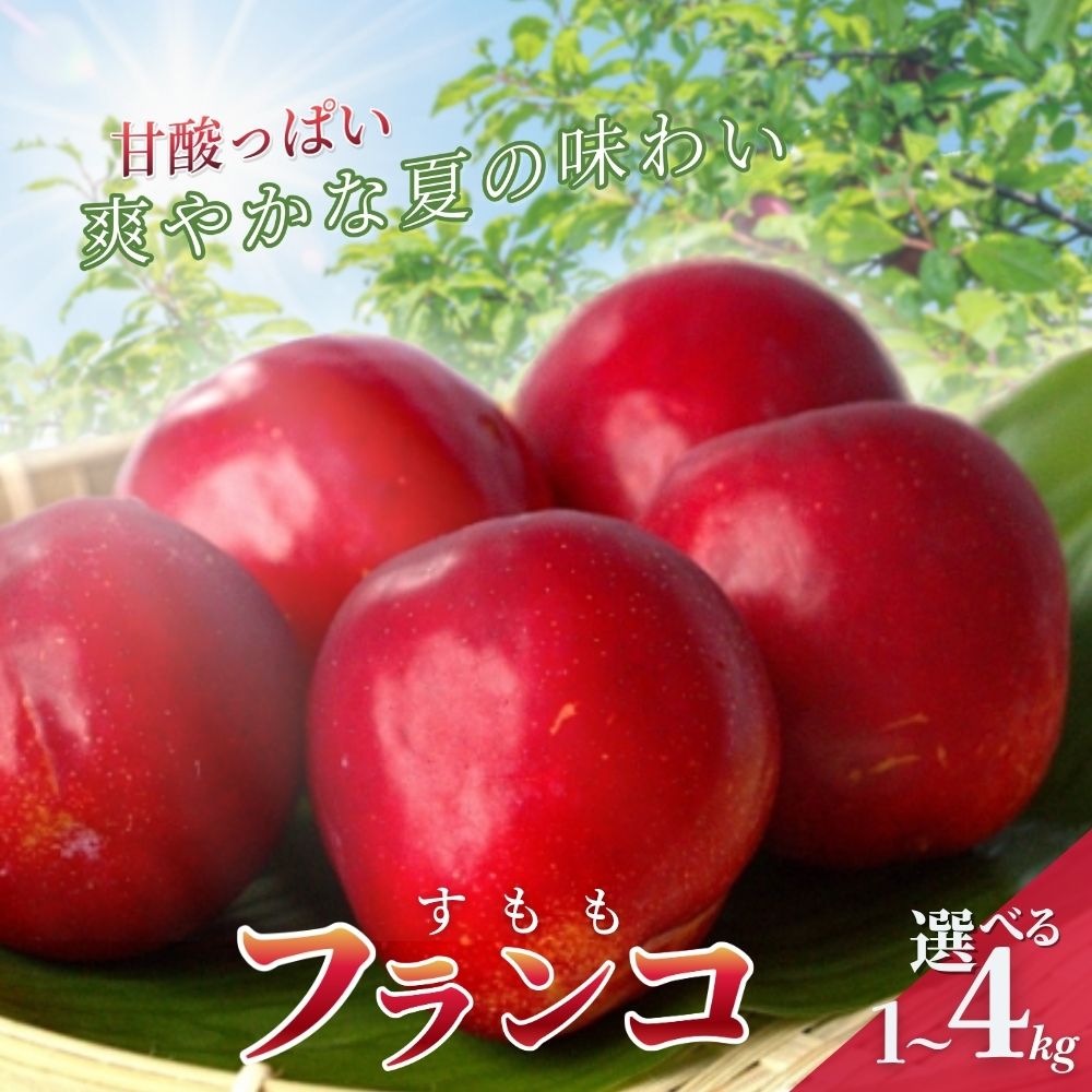 【ふるさと納税】 先行予約 すもも（フランコ）【選べる容量】 1kg 2kg 4kg ※2027年6月中旬～7月中旬頃に順次発送予定【期間限定・2027/6/20まで】 / スモモ お取り寄せ 期間限定 夏 フルーツ 果物 サンタローザ 和歌山県 田辺市