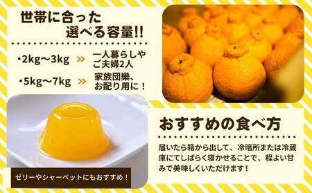 先行予約 完熟不知火 約5kg 不揃い キズあり 家庭用 訳あり SDGｓ B級品【髙橋果樹園】【2026年2月上旬から3月下旬発送予定】不知火 しらぬい みかん ミカン 不知火デコポン 宇城市産 デ