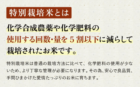 たんちょう杵つき餅セット『たべくらべ』丸もち お餅 年内発送 [A-2993]