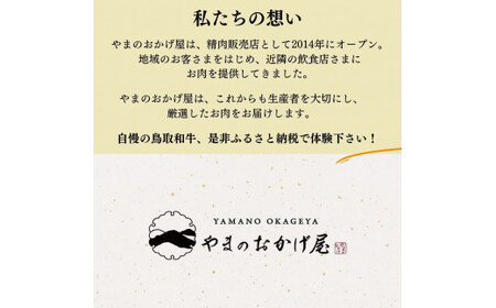 鳥取県産牛　カルビ&ハラミ焼肉セットお肉 肉 牛肉 和牛 鳥取和牛 牛肉 肉 国産 お肉 冷凍牛肉 カルビ ハラミ 焼き肉 焼き肉用 ハラミ カルビ セット