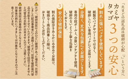 【感動の卵体験】コク旨 極上卵 60 個 割れ保証付き