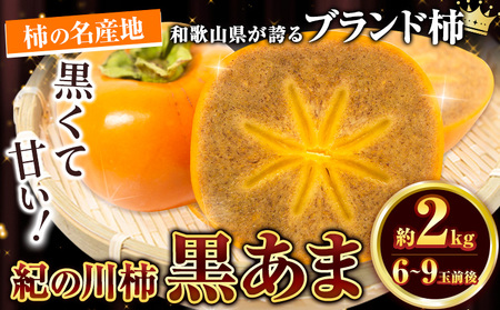 柿 紀の川柿黒あま 約2kg(6-9玉前後)4L-2L《10月中旬-11月末頃出荷》柿柿柿柿柿柿柿柿柿柿柿柿