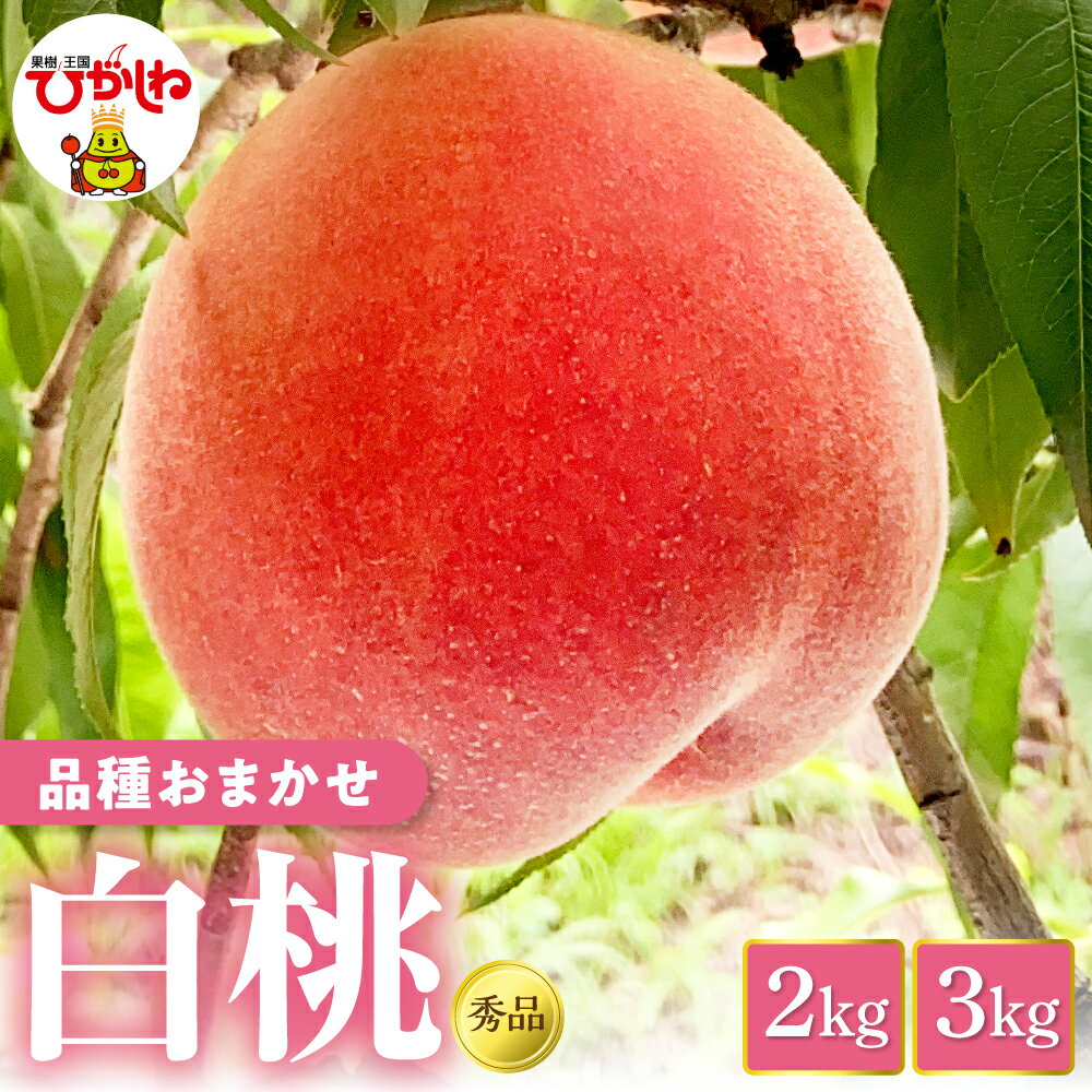【ふるさと納税】2026年産 桃 ( 選べる内容量 : 2kg / 3kg ) 品種おまかせ 秀品 | もも モモ ピーチ 白桃 はくとう フルーツ 果物 くだもの 期間限定 冷蔵配送 先行予約 お取り寄せグルメ ご当地 特産 産地直送 農家直送 送料無料 人気 おすすめ 山形県産 山形県 東根市