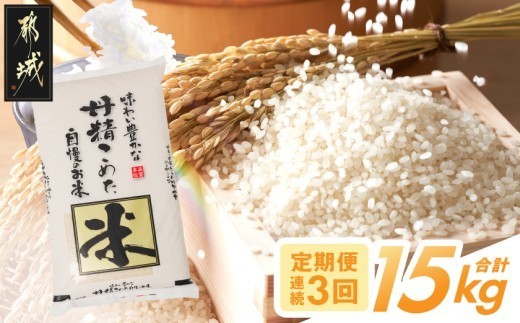 
                  ≪3回お届け!≫都城産米と国産米ブレンド 5kg_T28E-3-33-001-5kg_(都城市) お米 国産ブレンド米 5kg 精米 定期便 3ヶ月間お届け
                