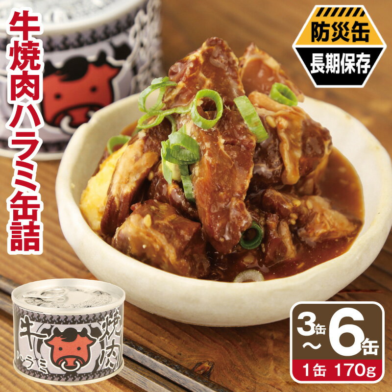 【ふるさと納税】牛 焼肉 ハラミ 缶詰 選べる 3缶 / 6缶 セット 肉 牛肉 厚切り 牛ハラミ サガリ ご飯のお供 弁当 おかず おつまみ 酒 晩酌 BBQ キャンプ アウトドア 防災 備蓄 非常食 保存食 常備 防災缶 長期保存 スタミナ 野菜炒め もやし炒め 大阪府 泉佐野市 送料無料