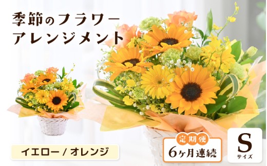 定期便 ≪6ヶ月連続お届け≫ 選べるカラー 季節のフラワーアレンジメント S (イエロー・オレンジ) 【お花 フラワー アレジメント 花束 ギフト 生花 プレゼント 花束 花 記念日 敬老の日 お祝い】 [E-20703_02]