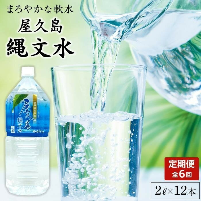 【ふるさと納税】【定期便】屋久島縄文水 2L×6本入り 2ケース＜全6回＞ | 水 みず 天然水 軟水 PET ペットボトル ドリンク 飲み物 飲料 セット お取り寄せ 人気 おすすめ ロック 炭酸 酒 割り 送料無料 鹿児島県 屋久島町 鹿児島 縄文水 定期便