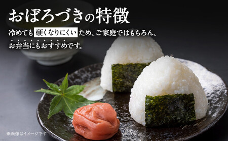 令和６年産　北海道産おぼろづき10kg（5kg×2)【国産 白米 精米 お米 単一原料米 厳選 生活応援 おぼろづき おすすめ 北海道 美唄市】