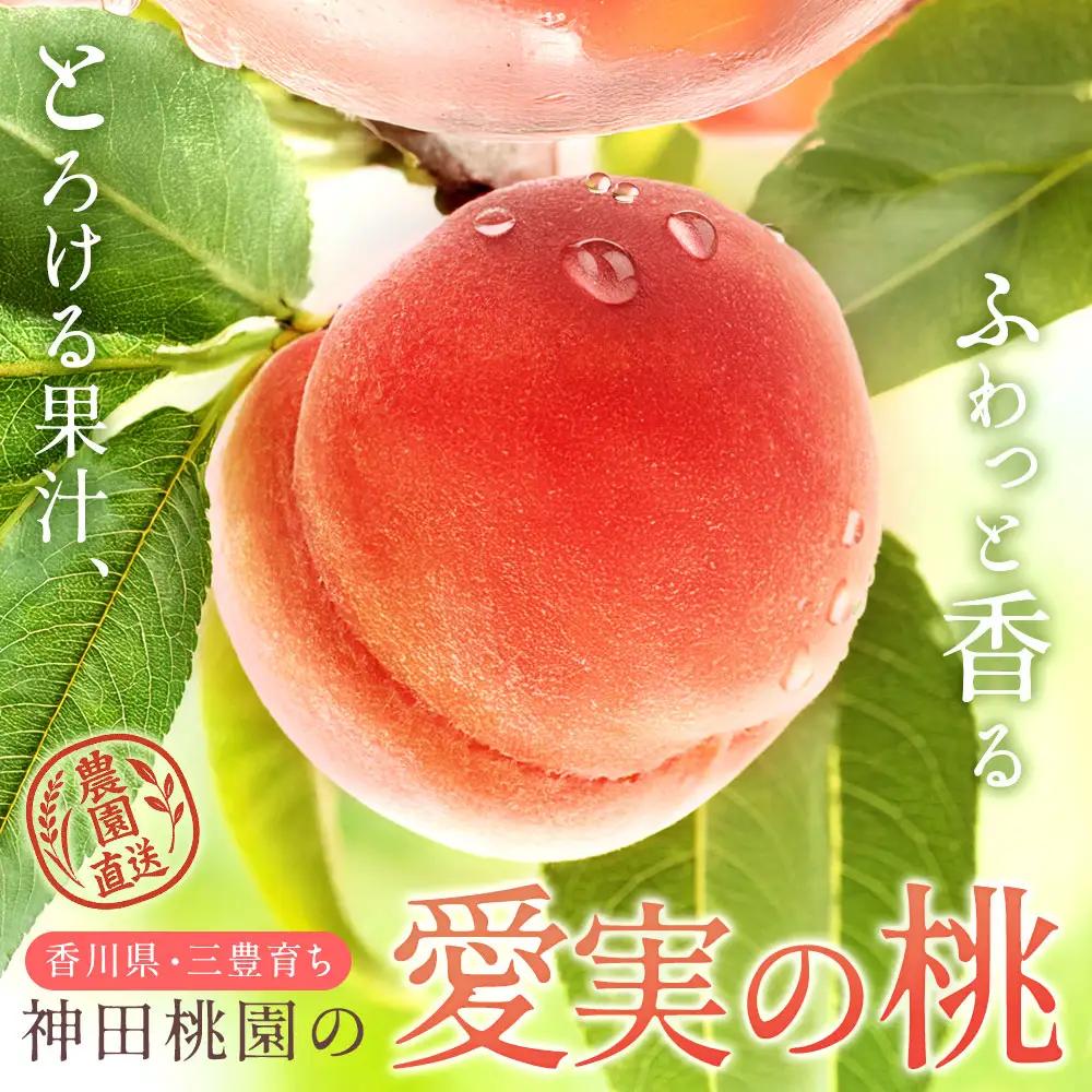 【ふるさと納税】 桃 産地直送 「神田桃園の愛実の桃」 約3kg  [ フルーツ 名産品 桃 もも モモ 赤い桃 果物 くだもの お取り寄せグルメ 三豊市 20000 20, 返礼品 神田桃園 ] 
