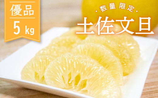 【 先行予約 】 土佐文旦 優品 5kg 高知県産 柑橘 フルーツ 文旦 ぶんたん ブンタン 分担 果物 みかん 文旦 産地直送 高知県 須崎 須崎市 KG015