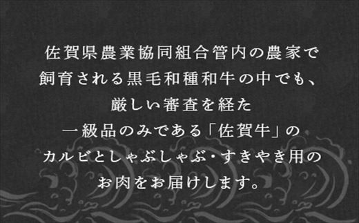 黒毛和種和牛の中でも一級品のみの佐賀牛のカルビとしゃぶしゃぶ・すきやき用
お肉をお届けいたします。ぜひご堪能ください。