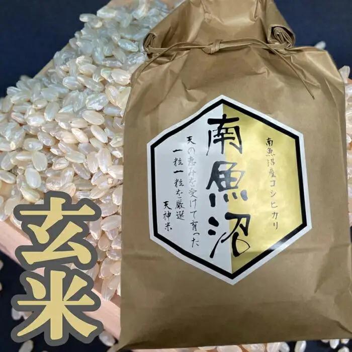 【令和7年産】【定期便】玄米 生産者限定 南魚沼しおざわ産コシヒカリ5Kg×12ヶ月【定期便 銘柄米 ブランド米 玄米 こしひかり コシヒカリ 魚沼産 新潟米 産地直送 お米 米 こめ コメ ご飯 御