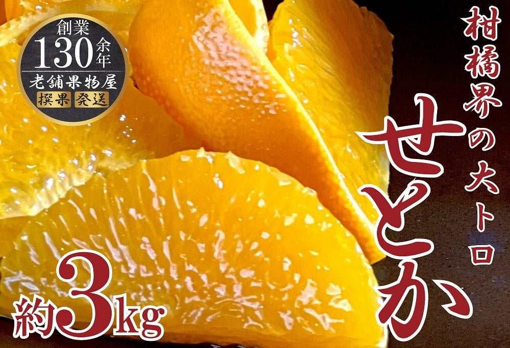 
柑橘界の大トロ！せとか約３ｋｇ
