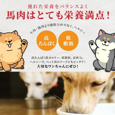 ふるさと納税 多良木町 ペット用 馬刺しジャーキー 50g×2 100g(多良木町) |  | 01