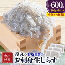 【ふるさと納税】【100g×6パック】義丸のお刺身生しらす　600g　泉州特産『義丸のだんじりしらす』_ しらす 生しらす シラス 刺身 小分け 冷凍 岸和田 だんじりしらす 新鮮 泉州 特産 パック 個包装 国産 産直 便利 海鮮 人気 おすすめ 【配送不可地域：離島】【1518560】