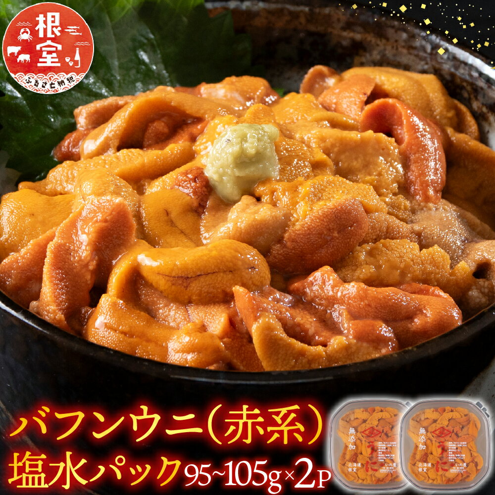【ふるさと納税】【12月17日決済確定分まで年内配送】 バフンウニ ( 赤系 ) 塩水パック 95 ~ 105g × 2P うに ウニ 雲丹 バフンうに ばふんうに ウニ丼 うに丼 雲丹丼 刺身 お取り寄せ グルメ 海鮮 北海道 根室市 ふるさと納税 B-74002