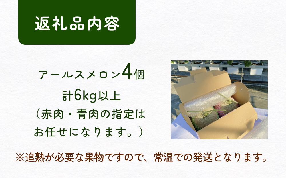 【訳あり】アールスメロン 4個セット（赤青おまかせ）  富山県 氷見市 メロン めろん 果物 くだもの フルーツ