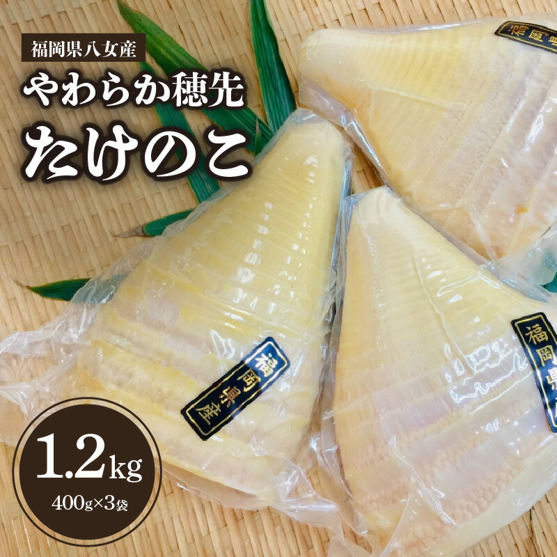 【ふるさと納税】福岡県八女産 やわらか穂先たけのこ 400g×3袋｜【出荷時期】2026年5月以降 筍 竹の子 タケノコ 福岡県 八女市