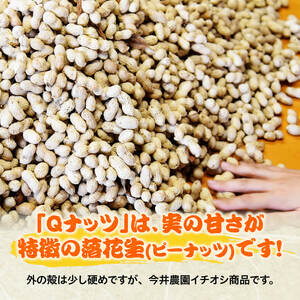 今井農園産 落花生「Qナッツ」9袋（130g×9）【 ピーナッツ おつまみ 国産 宮崎県産 】