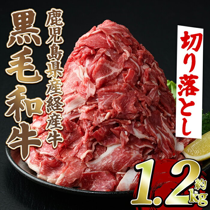 【ふるさと納税】＼高評価★4.66獲得！／ 鹿児島県産 黒毛和牛 経産牛 切り落とし (計1.2kg・600g×2P) 国産 牛肉 肉 冷凍配送 小分け 個包装 セット 切り落とし 大容量 赤身 チャック付き 切り落し 切落し【スターゼン】 akn042-04
