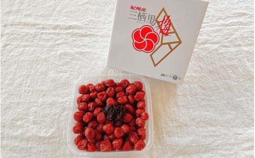 紀州小梅　しそ小梅（塩分13％）　500g  / 田辺市 紀州南高梅 南高梅 梅干し 梅干 梅  肉厚 お米 おにぎり 焼酎 梅酒 健康 小梅 【ske029】