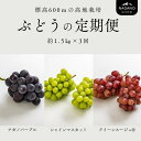 【ふるさと納税】＊2025先行予約＊ぶどうの定期便 約1.5キロ×3回（ナガノパープル／シャインマスカット／クイーンルージュ®） ／2025年9月上旬頃発送 長野県松川町産　贈答　ギフト　稀少　高級ぶどう TK15