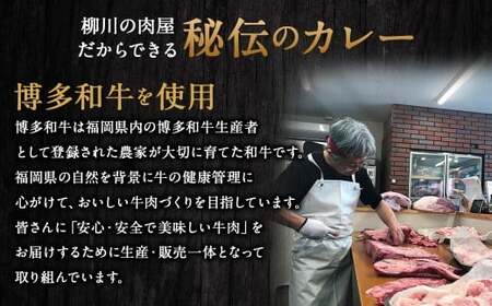 【TVで話題】柳川黄金博多和牛カレー （8箱） カレー レトルト