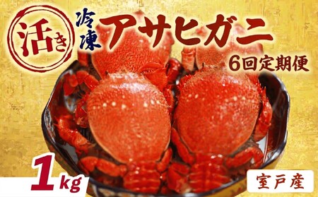 【6回 定期便 活冷凍 アサヒガニ 約１kg 】 アサヒガニ あさひがに 朝日蟹 蟹 かに カニ 活冷凍 活き 生 姿 冷凍 セット 詰め合わせ パスタ 味噌汁 焼ガニ 魚介類 海鮮 海の幸 産地直送 産直 旬 晩御飯 夕食 おかず 酒の肴 おつまみ 贅沢 自宅用 家庭用 お取り寄せ 美阿丸 高知県 室戸市
