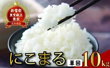 【令和7年産】 米 10kg にこまる 米 AS012
