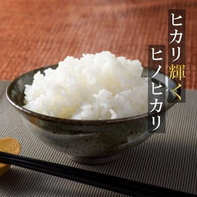 ふるさと納税 小郡市 米 10kg 行徳農園のお米 ひのひかり 筑後小郡産 農家直送 お米 コメ[No5354-0276]
